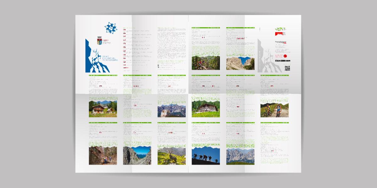 comune_forni_di_sopra_mappa 